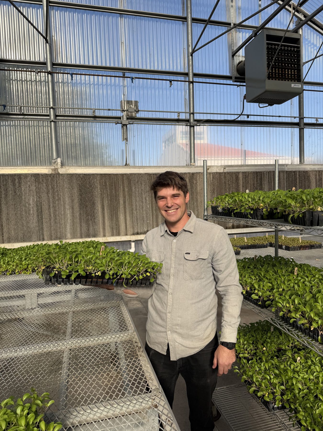Cal Poly students in agricultural program