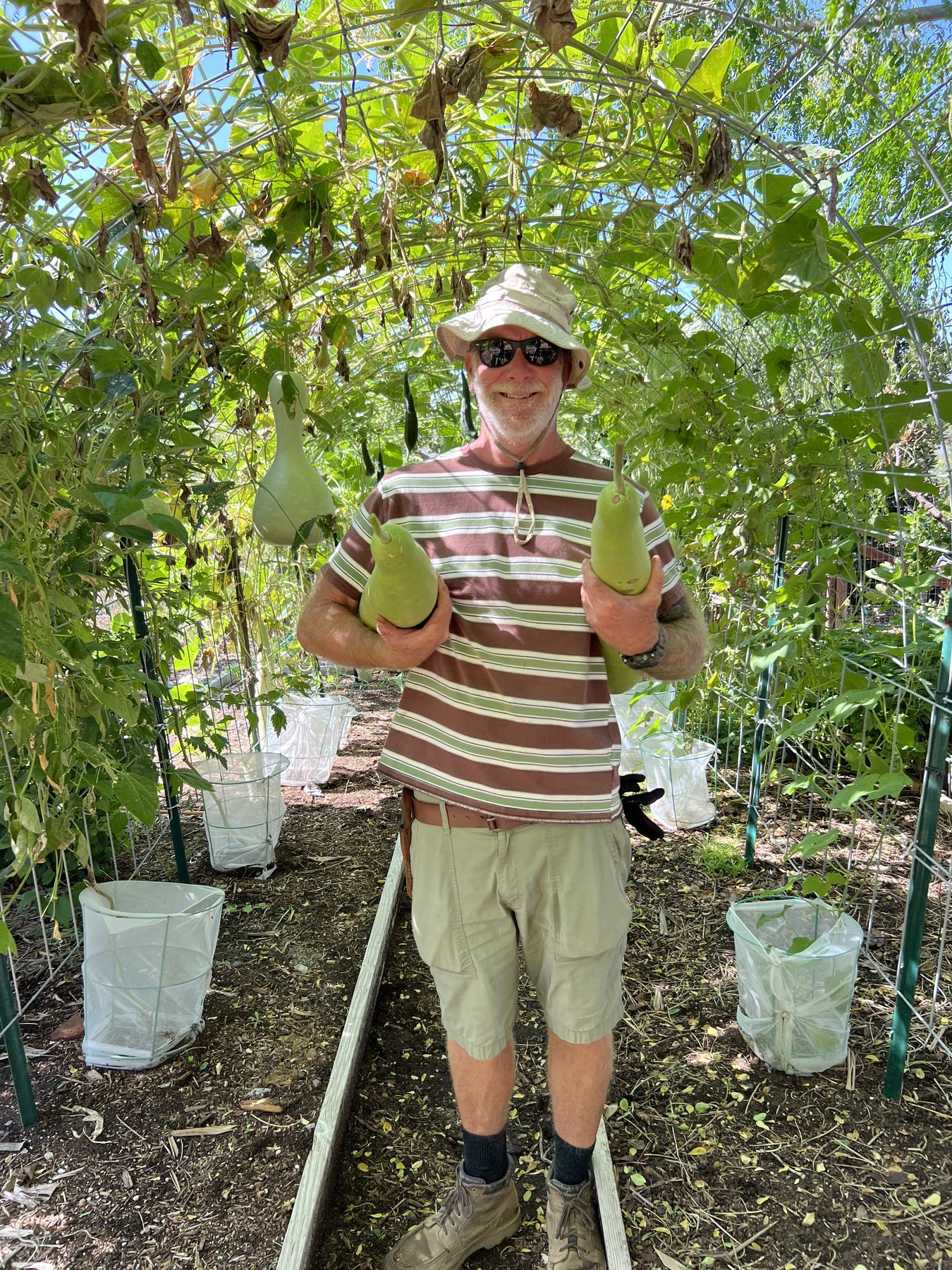 Growing beds at Farm + Food Lab