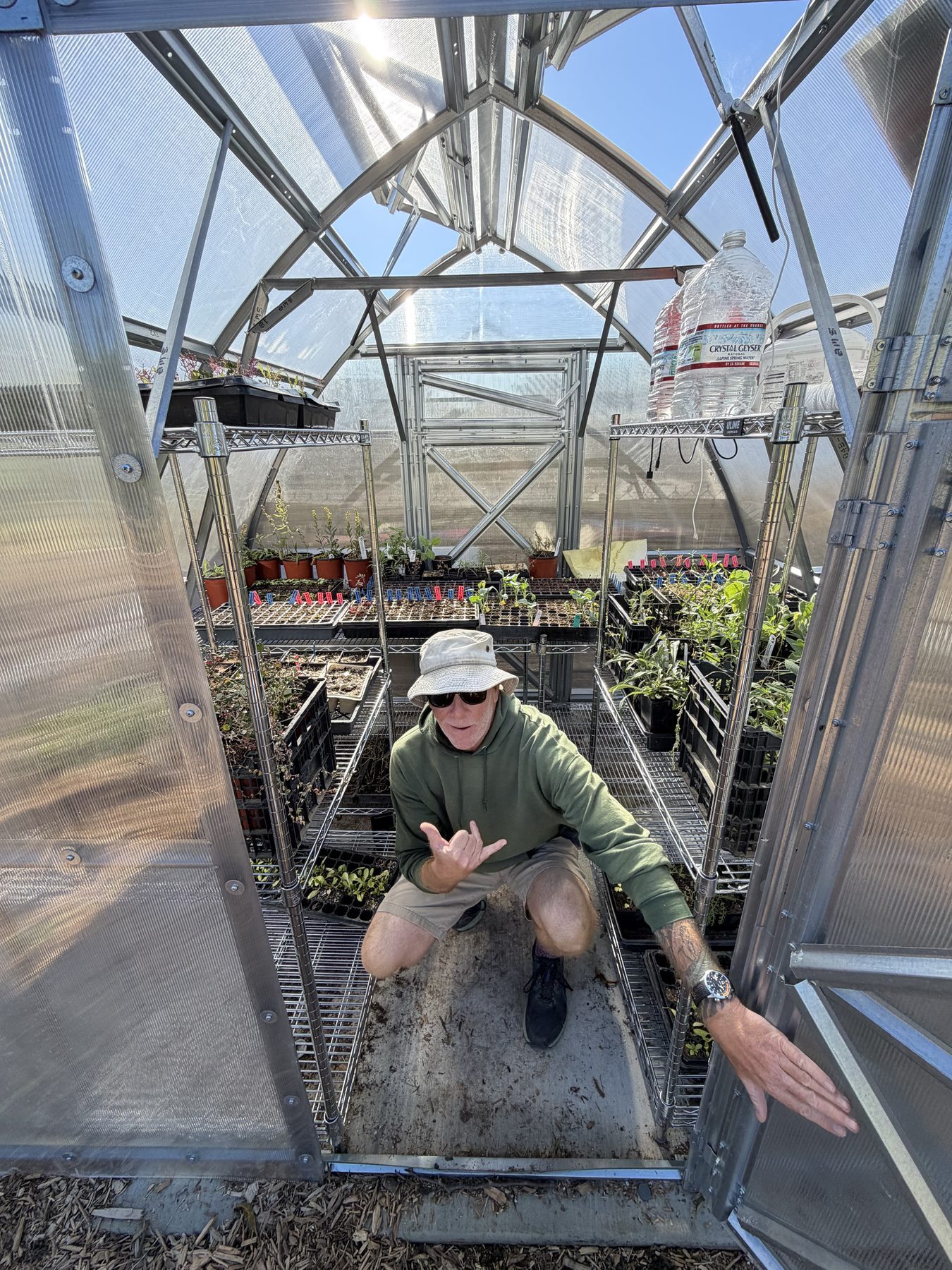 A volunteer tending seedlings inside the greenhouse at the Farm + Food Lab