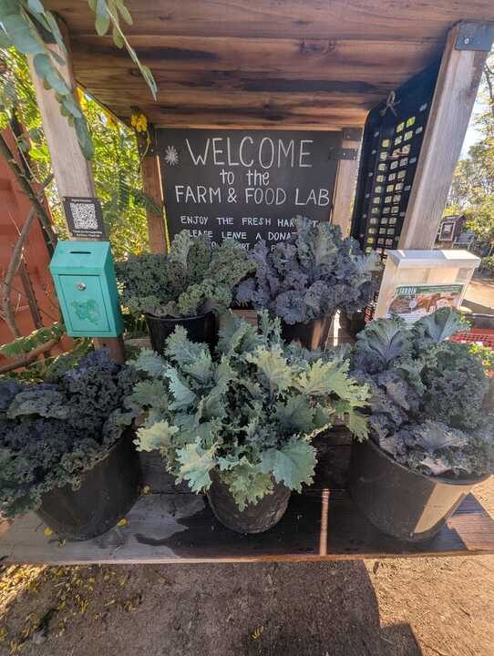 Welcome sign and fresh kale at Farm + Food Lab