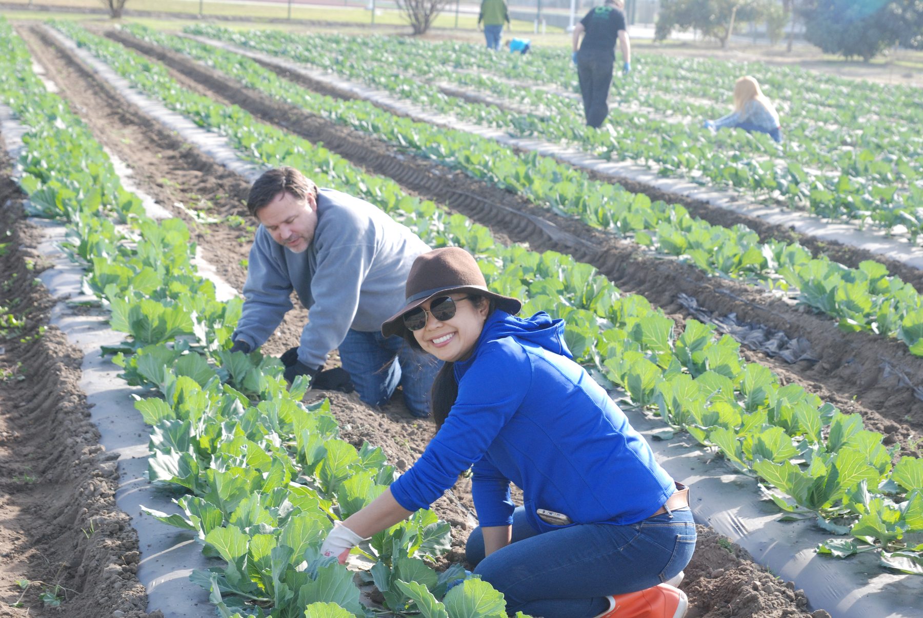 Volunteers smiling while planting seedlings at The Giving Farm