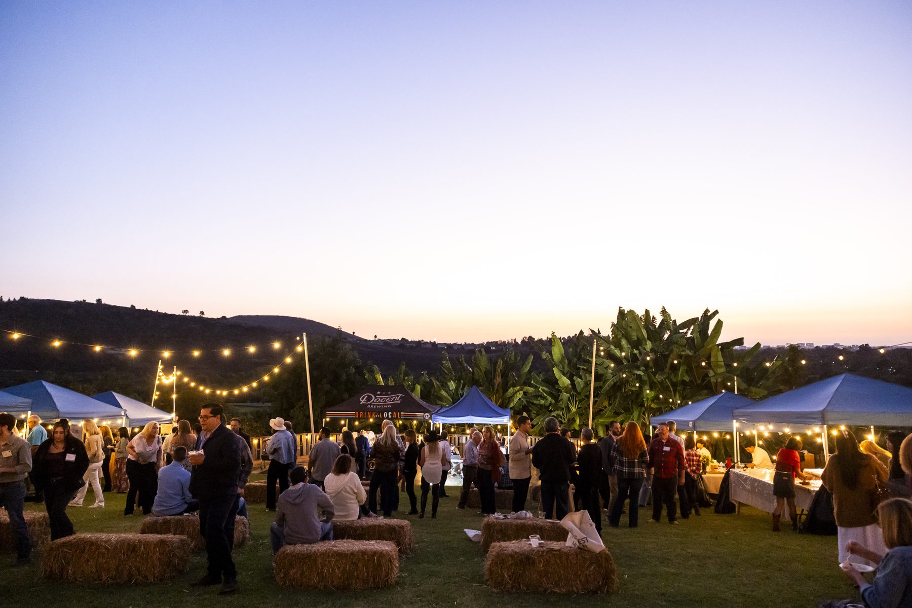 Evening gathering under string lights at Harvest Moon