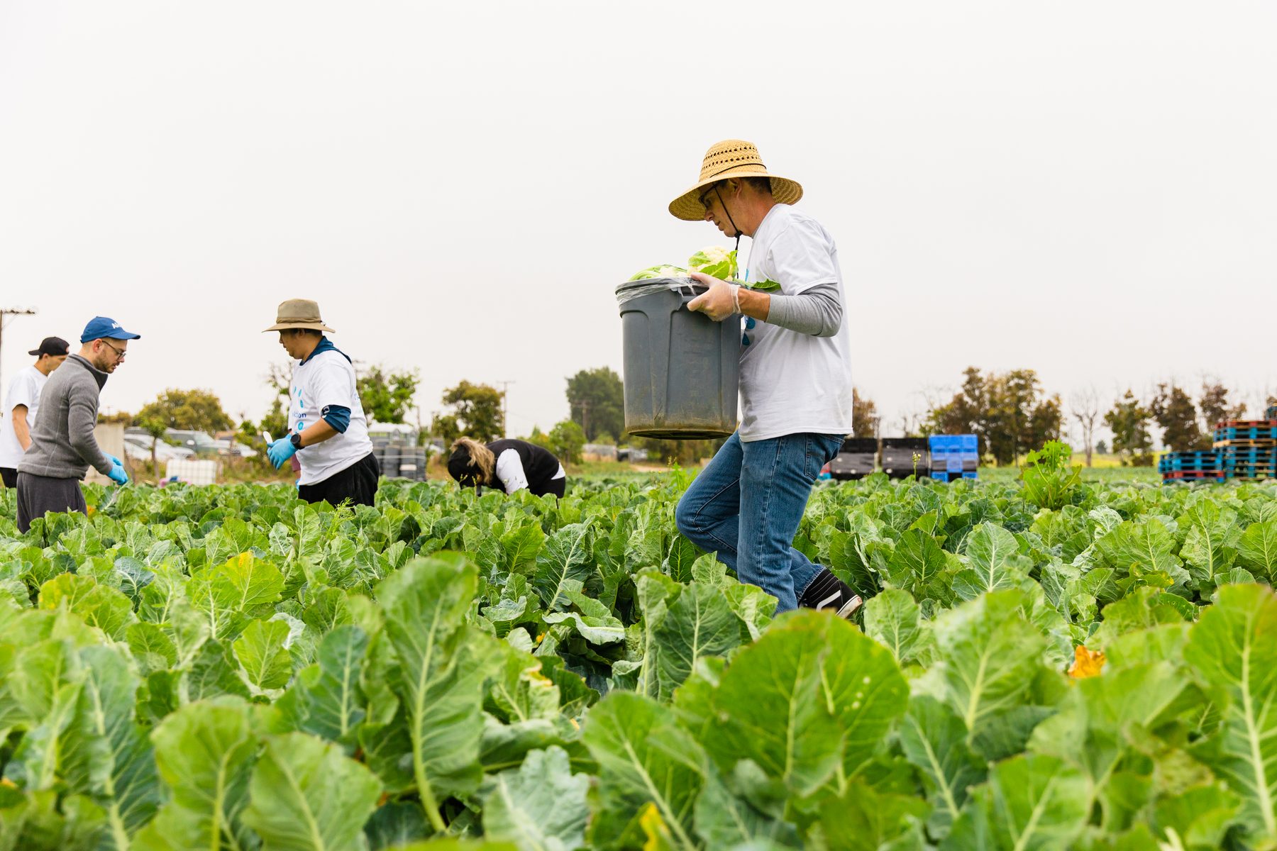 Hands-on farm work at Harvest Solutions Farm