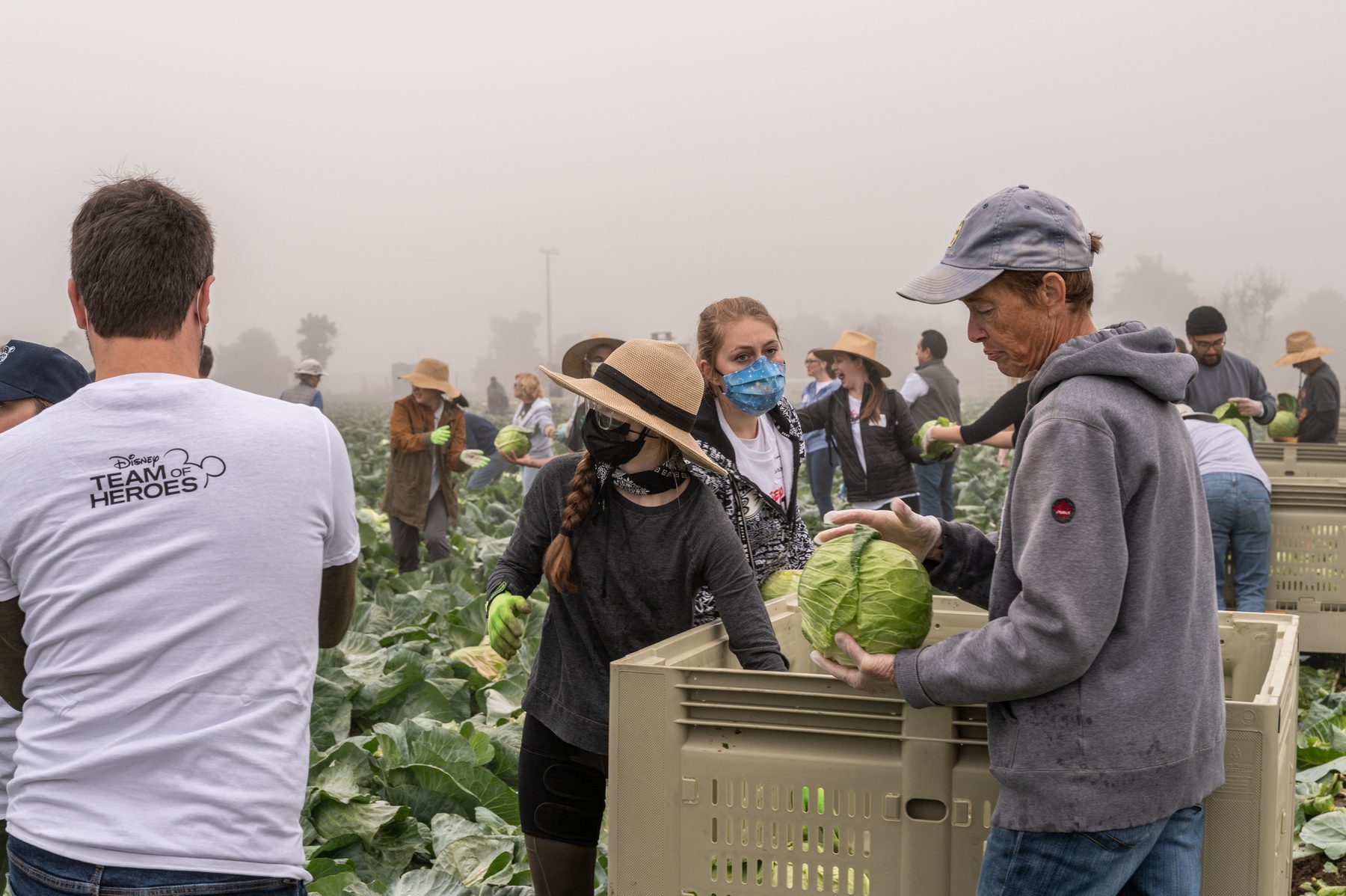 Field view at Harvest Solutions Farm