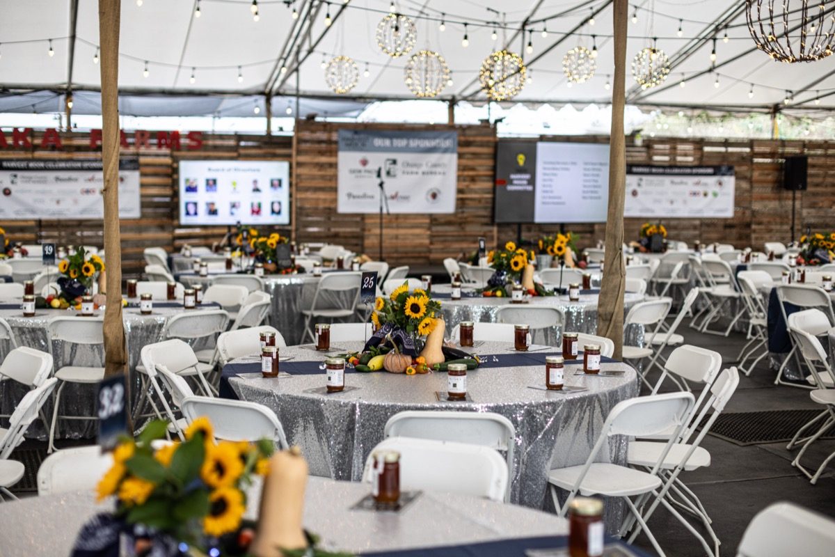 Tables set with sunflower centerpieces inside the tent at Harvest Moon