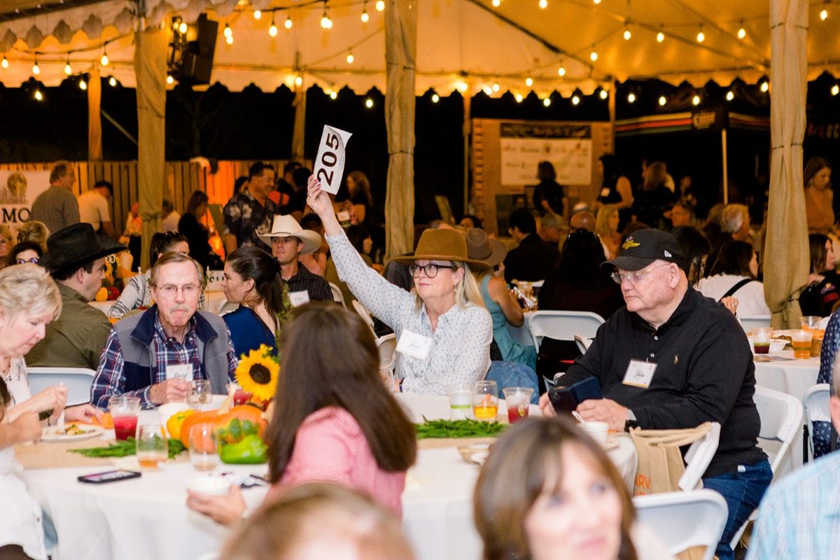 Guest raising auction paddle under warm tent lighting at Harvest Moon