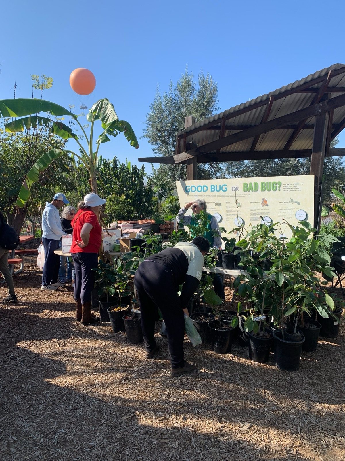 Visitors exploring plants and educational displays at the Farm + Food Lab in Irvine