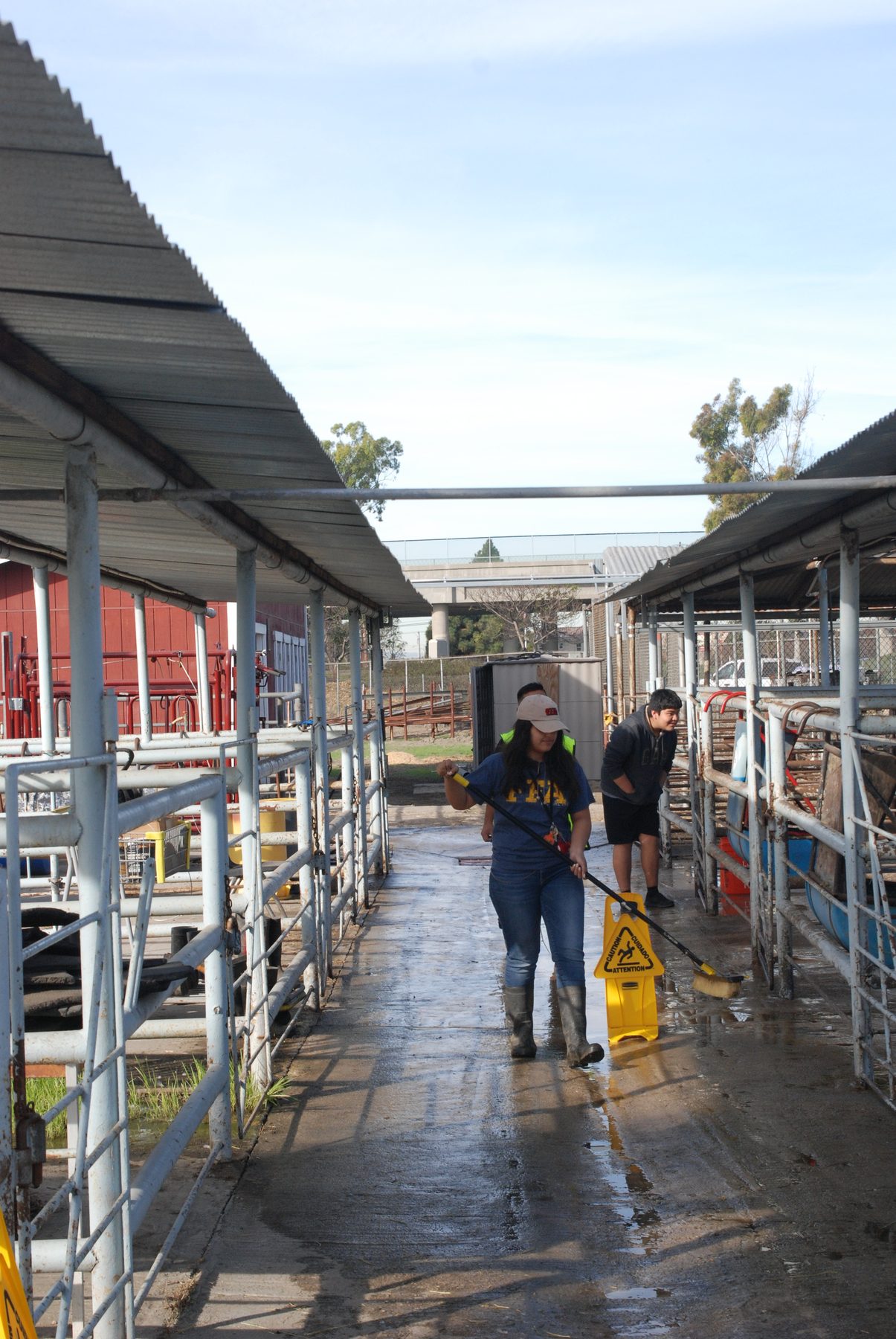 Students cleaning the livestock barn as part of their agricultural education