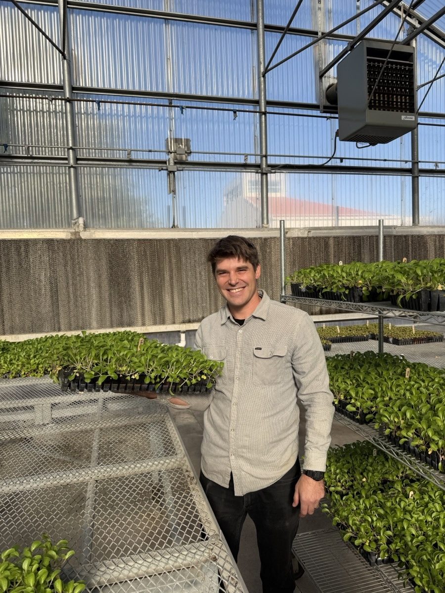 Student working with seedling trays in the Operation Cornucopia greenhouse at Cal Poly Pomona